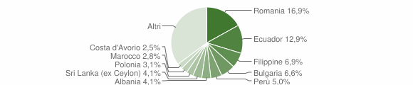 Grafico cittadinanza stranieri - Bussero 2008
