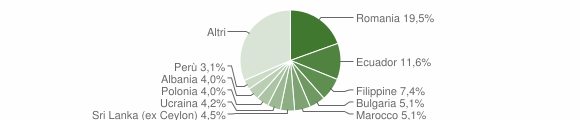 Grafico cittadinanza stranieri - Bussero 2010