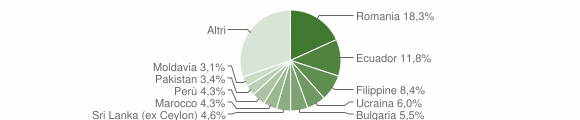 Grafico cittadinanza stranieri - Bussero 2011
