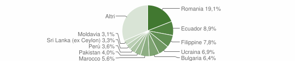 Grafico cittadinanza stranieri - Bussero 2013