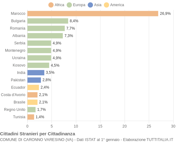 Grafico cittadinanza stranieri - Caronno Varesino 2009