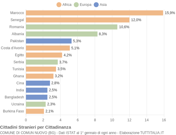 Grafico cittadinanza stranieri - Comun Nuovo 2011