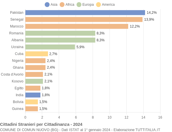 Grafico cittadinanza stranieri - Comun Nuovo 2024