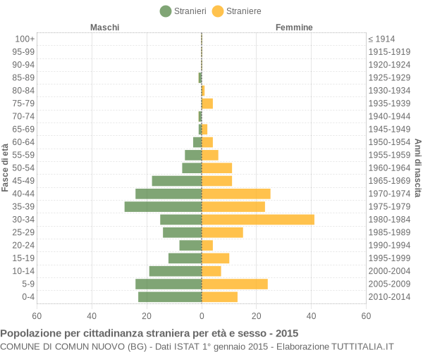 Grafico cittadini stranieri - Comun Nuovo 2015