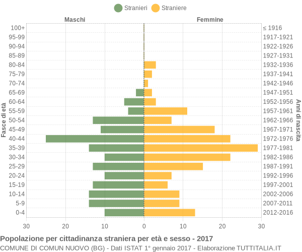 Grafico cittadini stranieri - Comun Nuovo 2017