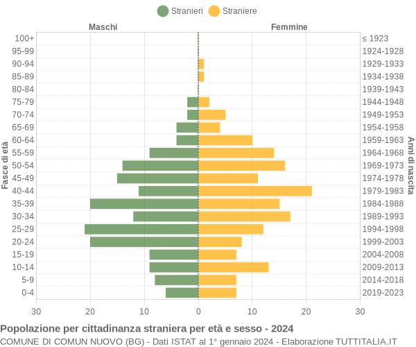 Grafico cittadini stranieri - Comun Nuovo 2024