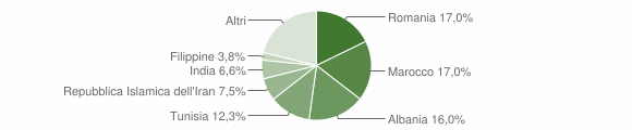 Grafico cittadinanza stranieri - Ospedaletto Lodigiano 2004