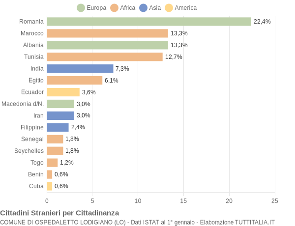 Grafico cittadinanza stranieri - Ospedaletto Lodigiano 2006