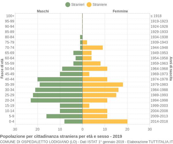 Grafico cittadini stranieri - Ospedaletto Lodigiano 2019