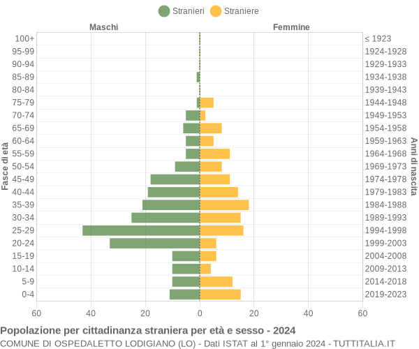 Grafico cittadini stranieri - Ospedaletto Lodigiano 2024