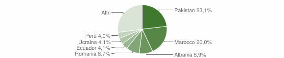 Grafico cittadinanza stranieri - Solaro 2011