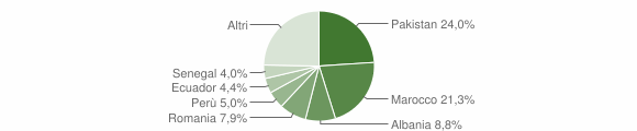 Grafico cittadinanza stranieri - Solaro 2012