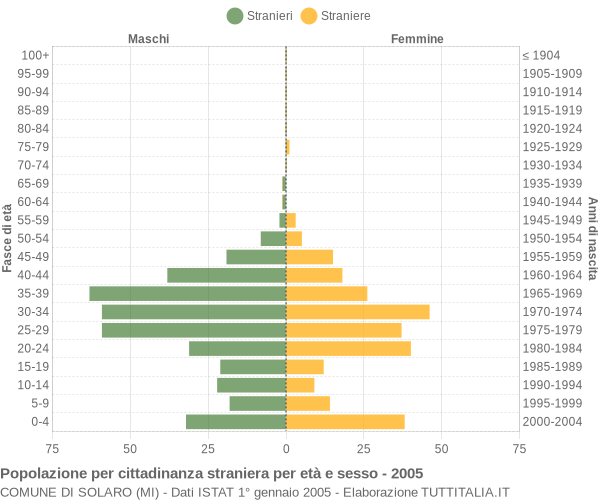 Grafico cittadini stranieri - Solaro 2005