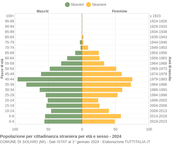 Grafico cittadini stranieri - Solaro 2024