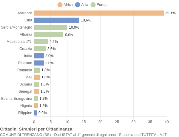 Grafico cittadinanza stranieri - Trenzano 2004