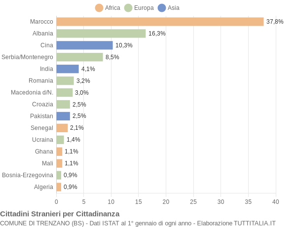 Grafico cittadinanza stranieri - Trenzano 2005