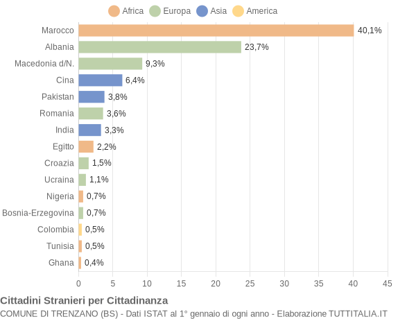 Grafico cittadinanza stranieri - Trenzano 2009