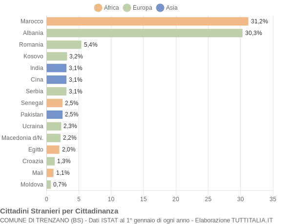 Grafico cittadinanza stranieri - Trenzano 2019