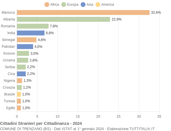 Grafico cittadinanza stranieri - Trenzano 2024