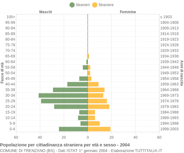 Grafico cittadini stranieri - Trenzano 2004