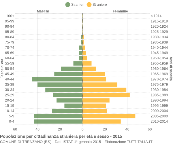 Grafico cittadini stranieri - Trenzano 2015