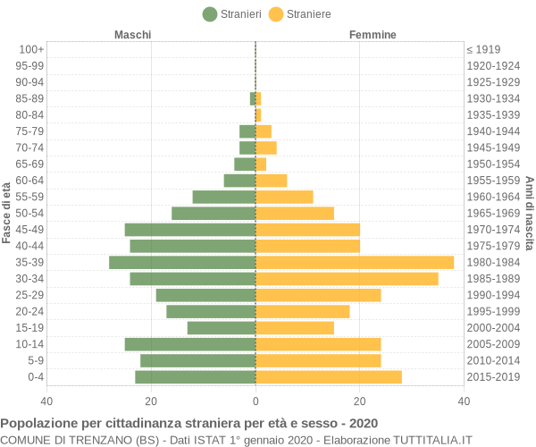 Grafico cittadini stranieri - Trenzano 2020