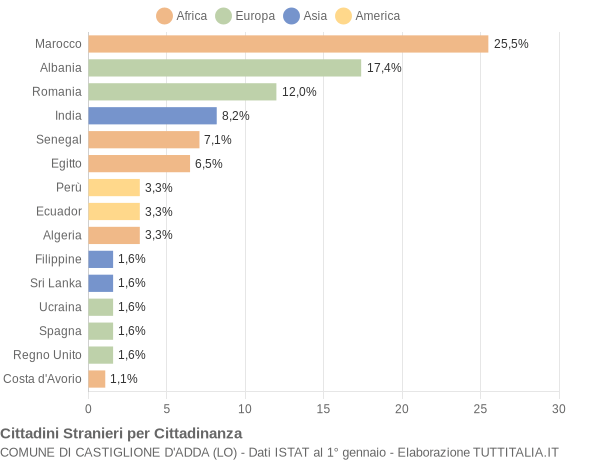 Grafico cittadinanza stranieri - Castiglione d'Adda 2004