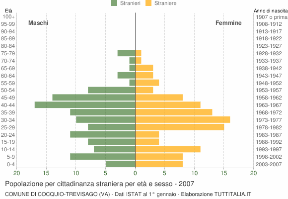Grafico cittadini stranieri - Cocquio-Trevisago 2007