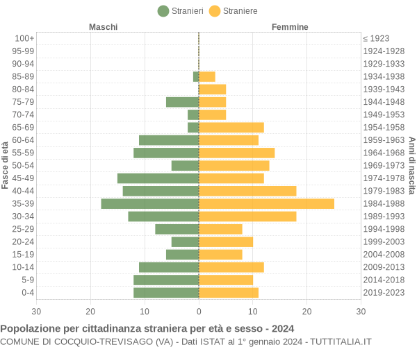 Grafico cittadini stranieri - Cocquio-Trevisago 2024