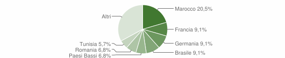 Grafico cittadinanza stranieri - Orino 2015