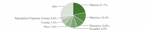 Grafico cittadinanza stranieri - Piancogno 2007