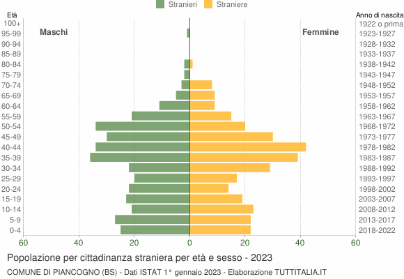 Grafico cittadini stranieri - Piancogno 2023