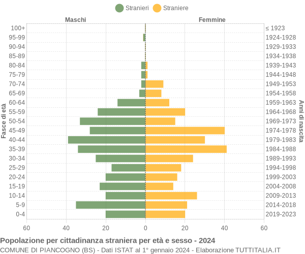 Grafico cittadini stranieri - Piancogno 2024