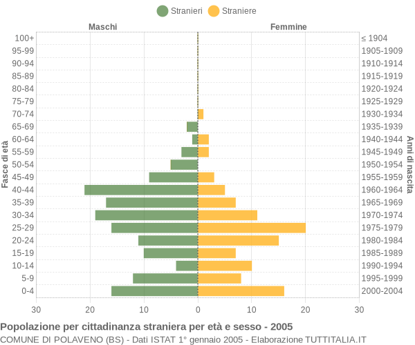 Grafico cittadini stranieri - Polaveno 2005