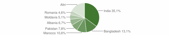 Grafico cittadinanza stranieri - Suzzara 2011