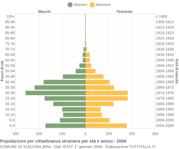 Grafico cittadini stranieri - Suzzara 2009