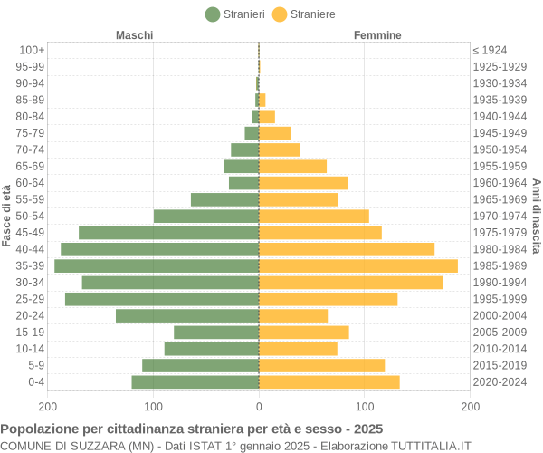 Grafico cittadini stranieri - Suzzara 2025