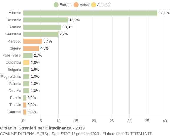 Grafico cittadinanza stranieri - Tignale 2023