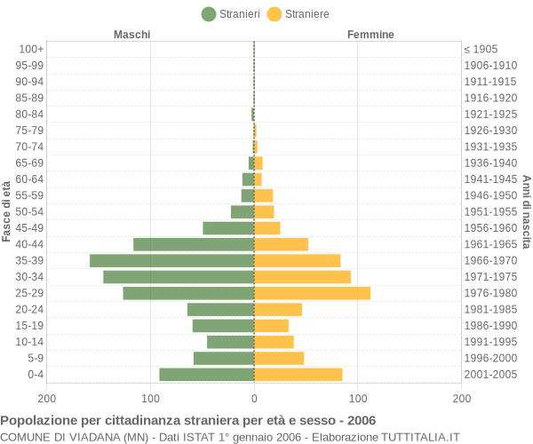Grafico cittadini stranieri - Viadana 2006