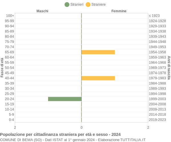 Grafico cittadini stranieri - Bema 2024