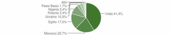 Grafico cittadinanza stranieri - Camairago 2007