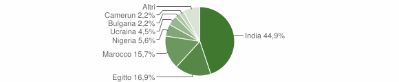 Grafico cittadinanza stranieri - Camairago 2015