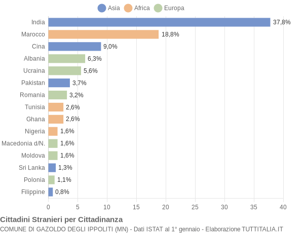 Grafico cittadinanza stranieri - Gazoldo degli Ippoliti 2009