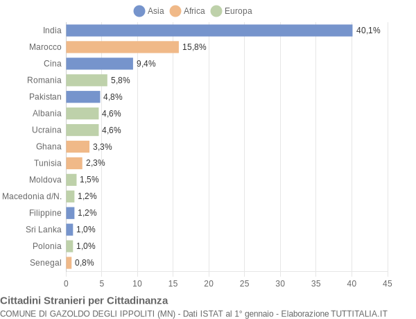 Grafico cittadinanza stranieri - Gazoldo degli Ippoliti 2013