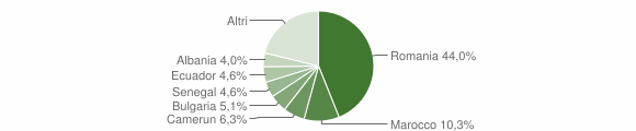 Grafico cittadinanza stranieri - Marudo 2010