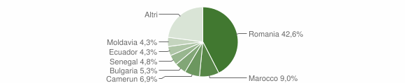Grafico cittadinanza stranieri - Marudo 2011