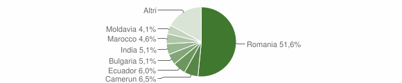 Grafico cittadinanza stranieri - Marudo 2013