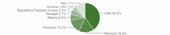 Grafico cittadinanza stranieri - Palosco 2015