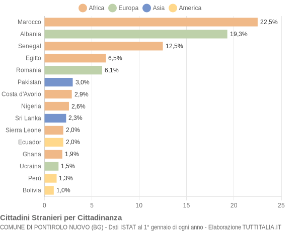 Grafico cittadinanza stranieri - Pontirolo Nuovo 2013