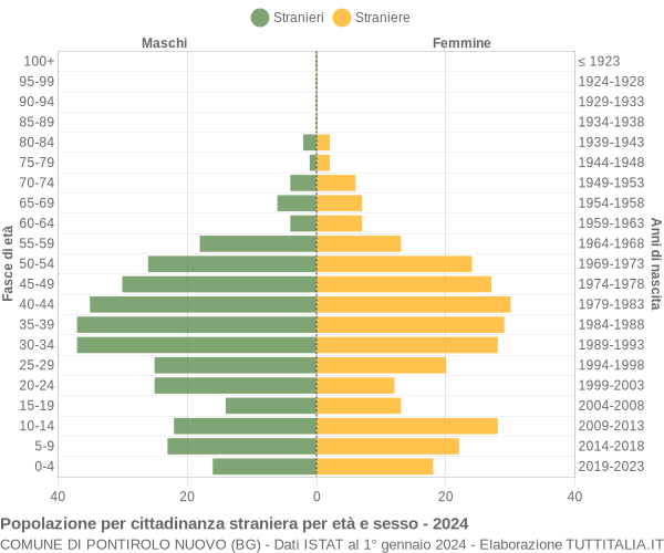 Grafico cittadini stranieri - Pontirolo Nuovo 2024